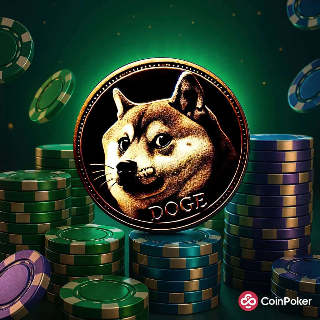 Dogecoin Casino