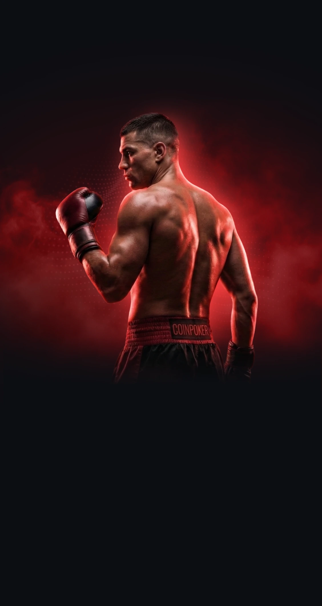 Boxing Betting: Bet on Boxing Fights Online with Bitcoin