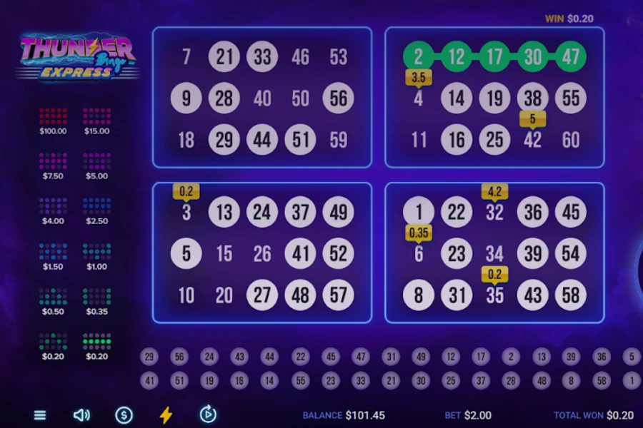 Thunder Bingo Express