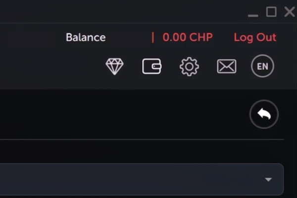 2. Navigate to Your Wallet